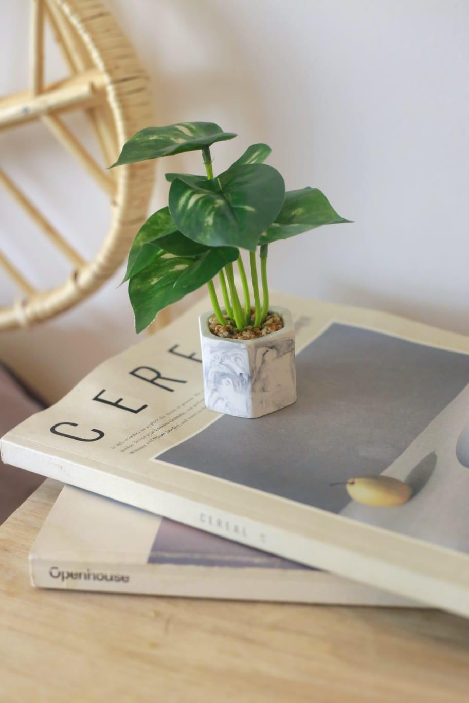 Planta Artificial 5X14CM